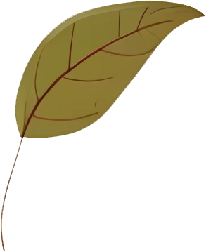 rendy Foliage Design, Leaf PNG Download, Tropical different type exotic leaves set_11.webp